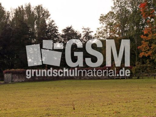 B-Herbststimmung 039.jpg